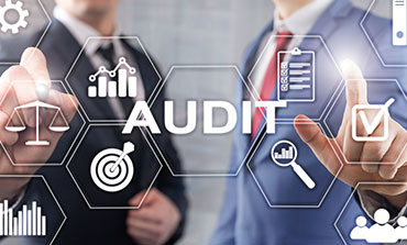 Audit services